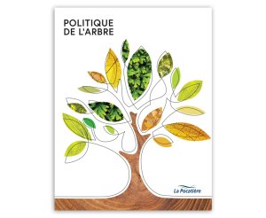Portfolio-Brochure-Politique-Arbre