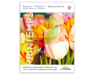 Portfolio-Programmation printemps 2025